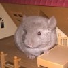 Ник