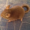 Уна
