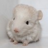 Физик