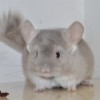 Кубик