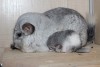 с мамочкой в неделю