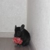Марик