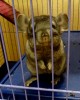 13 ноя