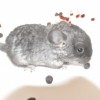 Корней