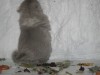 2 мес