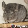 Ильяс