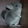 Сильва
