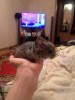 Такие мы были когда переехали в новый дом)