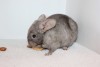 21.03.17.
