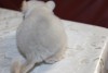 21.12.16.