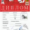 Диплом мамы