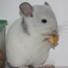 Ким