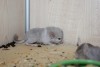 3 дня