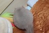 2 мес 10 дней