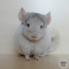 Матвей