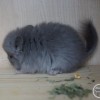 Тэкито