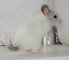 4 мес