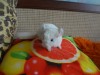 1 месяц