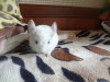 1 месяц