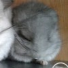 Федя