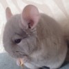 Алик