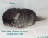 1 неделя