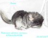 1 день