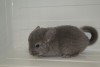 1 месяц