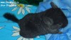 1 мес
