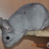 Титан
