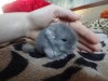3 дня