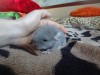 3 дня