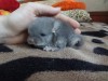 3 дня