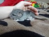 2 дня