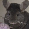 Кано