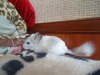 2 месяца