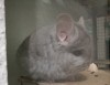 26.01.2018