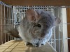 19.06.2018