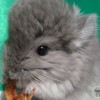 Фиджи