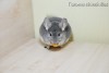 Франческа