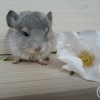 Денвер