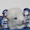 Омон