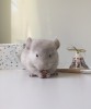 Месяц и 5 дней 