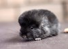 4 мес