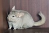 6 мес