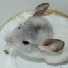 Наф Наф
