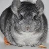 Искра