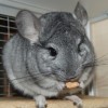 без имени