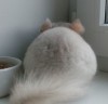 04.01.2018
