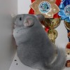 Микс